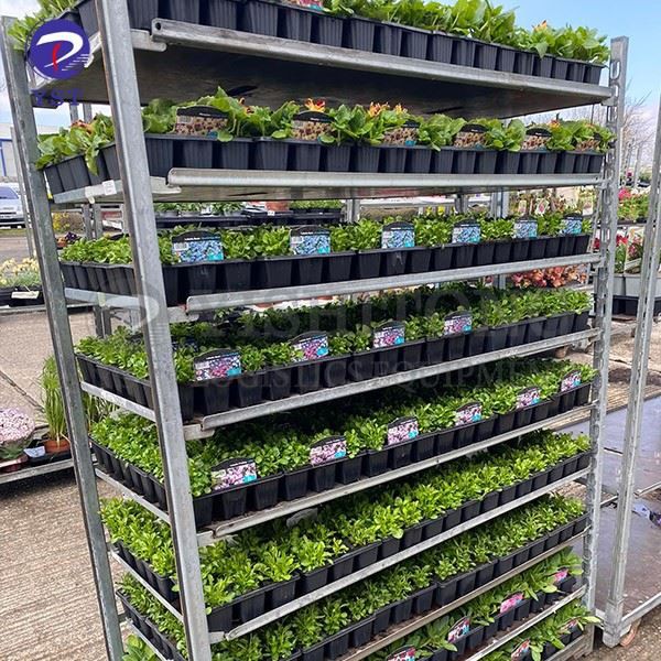 Dutch Trolley For Greenhouse