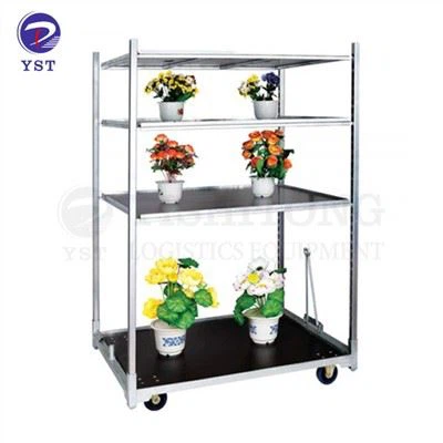 Nowy holenderski wózek